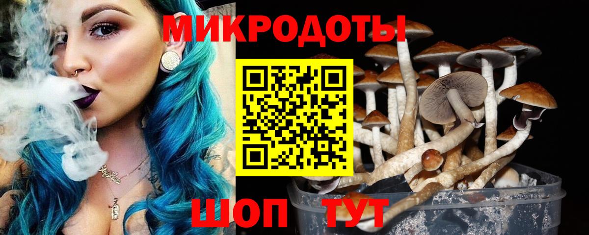 Гусь-Хрустальный  Псилоцибиновые грибы Psilocybe  Псилоцибиновые грибы Magic Shrooms  купить наркотик  Вход с VPN 
